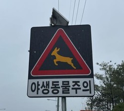 야생동물주의 표지판 /자료=환경부