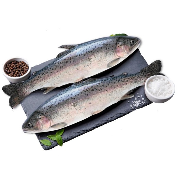 송어는 육질이 색이 붉고 선명한 것이 소나무와 비슷하다고 하여 송어(松魚)라는 이름이 붙은 생선이다. 송어는 지방이 적고 탄력 있는 육질을 지녀 일반적으로는 회로 먹는다. /자료출처=해양수산부