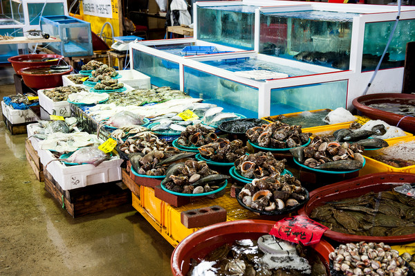 패류독소 식중독은 3월초부터 6월까지 패류독소가 축적된 조개와 피낭류 섭취로 발생한다.