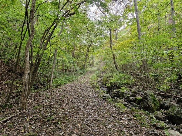 봉화 낙동정맥트레일 2구간 /사진제공=봉화군