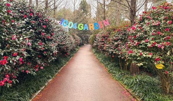 애기동백숲길 /사진제공=신안군