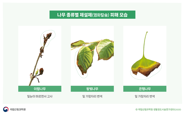 /자료제공=국립산림과학원