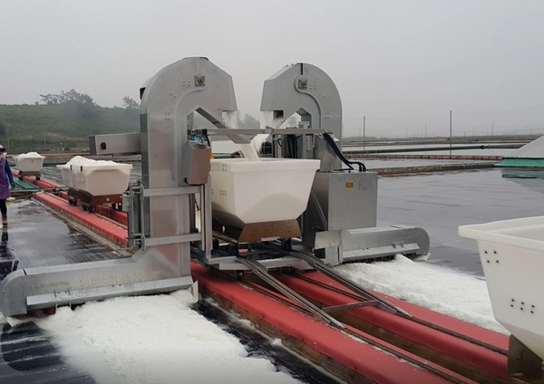 천일염 현대화 시설 /사진제공=신안군