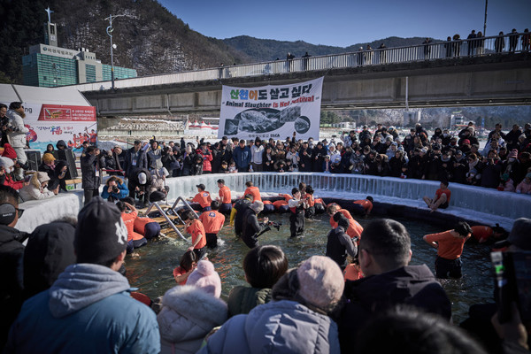 동물해방물결 활동가들이 화천 산천어축제 맨손잡기 체험장 인근 다리 위에서 “산천어도 살고 싶다”, “Animal Slaughter Is Not Festival”이라는 메시지가 담긴 10x5m 현수막을 펼치며, 산천어축제의 동물 학대 중단을 요구하고 있다. /사진=동물해방물결