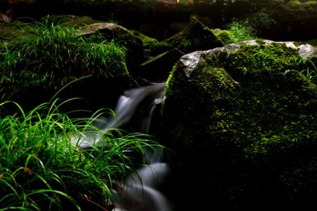 금정산 범어사계곡(계곡) /사진=환경부