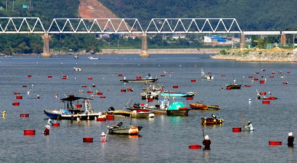 섬진강 재첩잡이 손틀어업 /사진제공=해양수산부