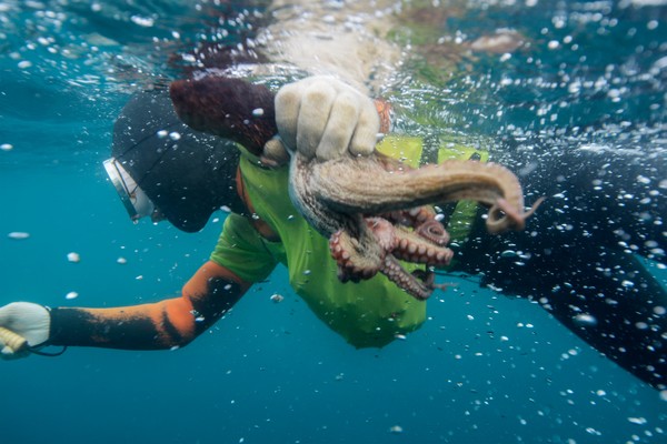 가슴엔 소라, 손에는 문어를 잡은 해녀의 모습 /사진제공=해양수산부