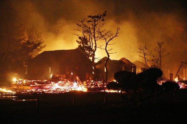 산불 현장 /사진=국립산림과학원