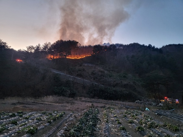 겨울철 영남과 강원영동 지역의 산불 위험도가 높은 수준이다.응 /사진제공=강원도