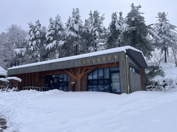 하늘숲추모원은 설 연휴 동안 시설을 정상 운영한다. /사진=한국산림복지진흥원
