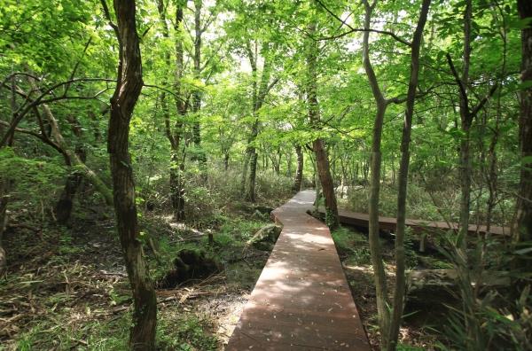 화개면 삼정마을 끝자락에 위치한 '설산습지'는 과거 화전민들이 논으로 개간해 사용하다 약 30년간 휴경 및 방치되면서 자연적 천이를 거쳐 습지로 변화한 곳이다. /사진=환경부