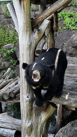 베어빌리지(의신마을) /사진=환경부
