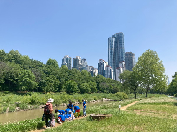 양재천 생태놀이터 /사진제공=강남구