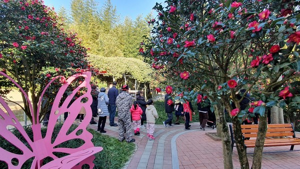 섬 겨울꽃 축제 / 사진제공=신안군