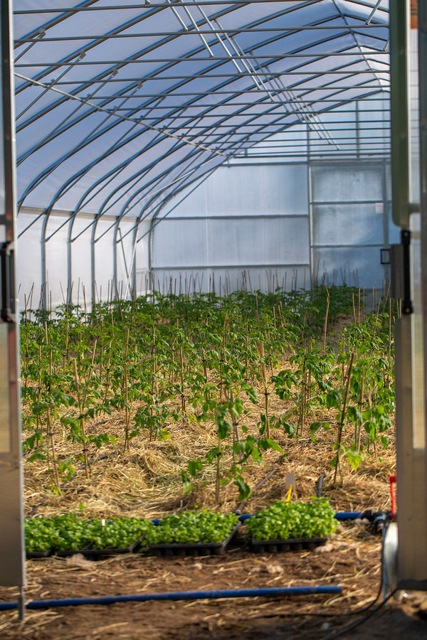 농식품부는 농촌용수개발 1767억원, 배수개선 3639억원, 수리시설개보수 5713억원 등을 상반기에 신속하게 집행한다. /사진=환경일보DB