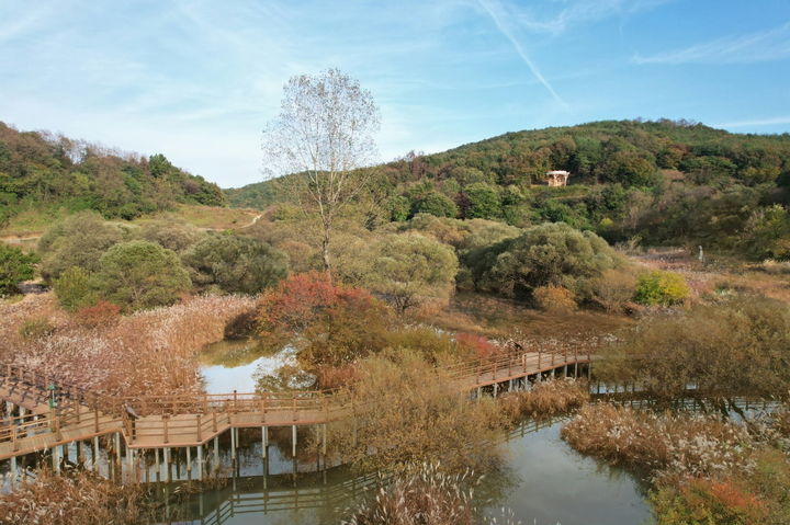 문경돌리네습지 /사진제공=문경시