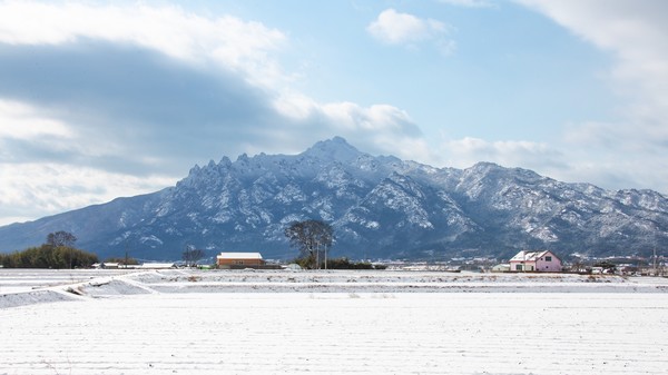 영암 월출산 설경 /사진제공=영암군