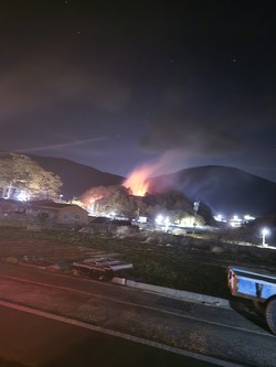 여수시 남면 두모리 산불 /사진제공=국립산림과학원