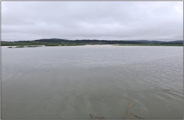 농경지 상습 침수지구 피해 방지를 위한 배수개선사업 대상지 /사진제공=신안군