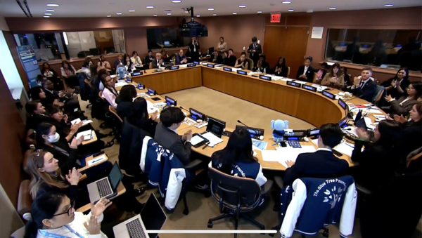 UN 경제사회이사회 사회개발위원회(UN ECOSOC) 사이드이벤트 /사진제공=푸른나무재단