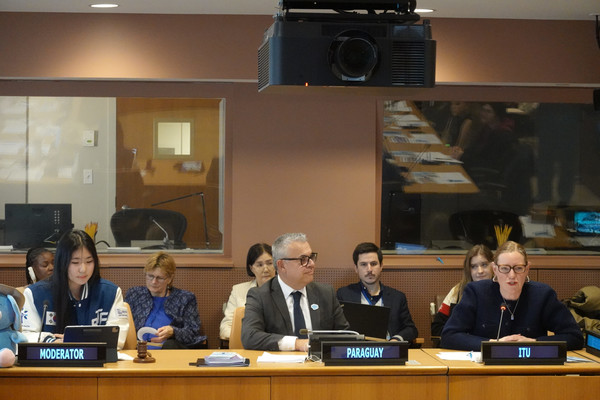 UN 경제사회이사회 사회개발위원회(UN ECOSOC) 사이드이벤트 /사진제공=푸른나무재단