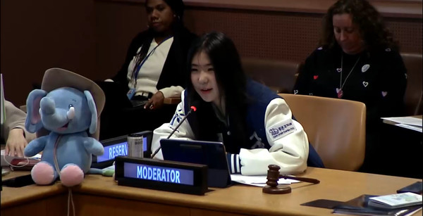 UN 경제사회이사회 사회개발위원회(UN ECOSOC) 사이드이벤트 /사진제공=푸른나무재단