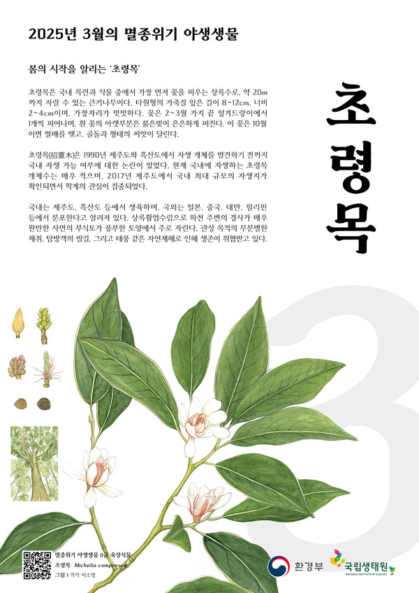 3월의 멸종위기 야생생물 초령목 포스터 /자료제공=환경부