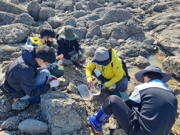 청소년 갯벌생태교육 /사진제공=인천녹색연합