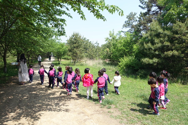 산림복지 서비스 /사진제공=국립산림과학원