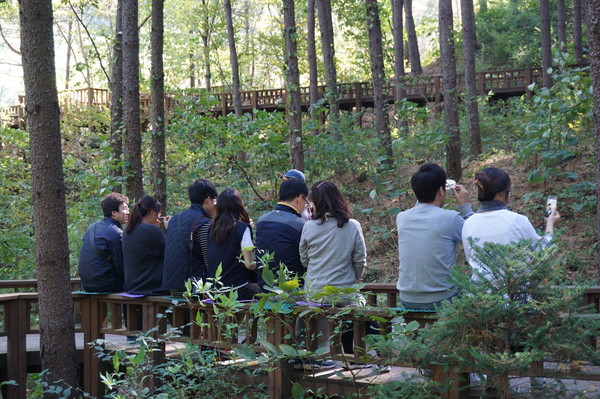 산림복지 서비스 /사진제공=국립산림과학원