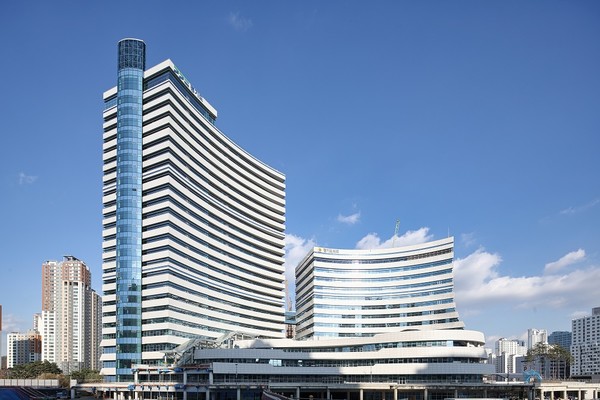 경기도, 논 농사 대신 다른 작물 재배하면 직불금 지급 /사진제공=경기도