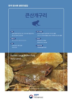 한국 양서류 생태자료집 표지 /자료=환경부