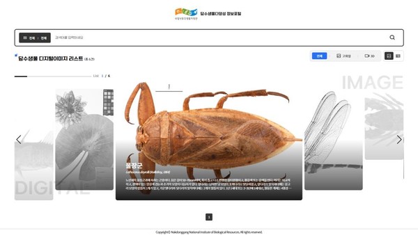 디지털 이미지 공개 서비스 메인 화면 /자료제공=