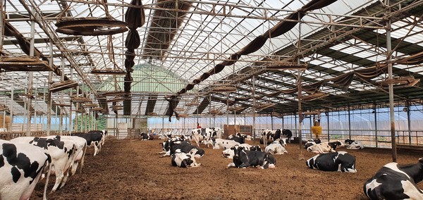 가축행복농장 /사진제공=경기도