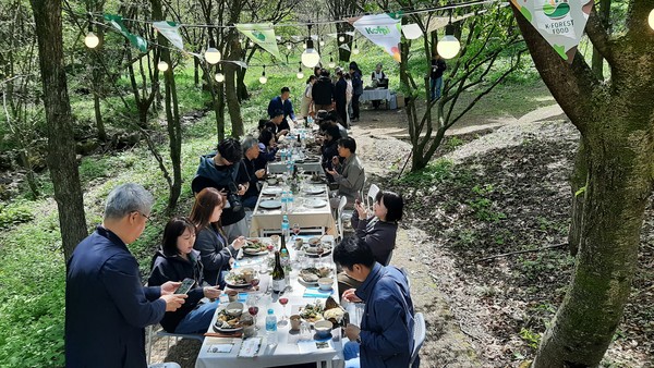 임산물 제철동행(봄 산나물 미식여행) /사진=한국임업진흥원