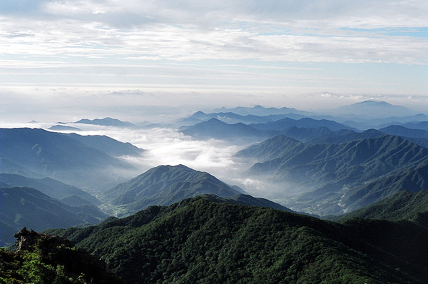 백두대간 보호구역 /사진제공=녹색연합