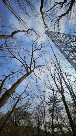고농도 시기 종로 도시숲 타워 /사진=국립산림과학원