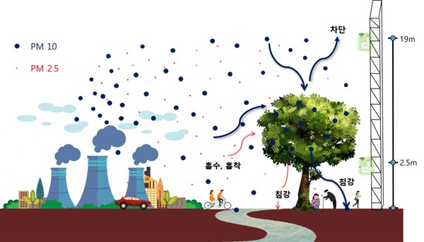 도시숲 내 극초미세먼지 침강 효과 /자료제공=국립산림과학원