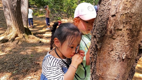 숲해설 프로그램 참가 어린이  /사진제공=안양시