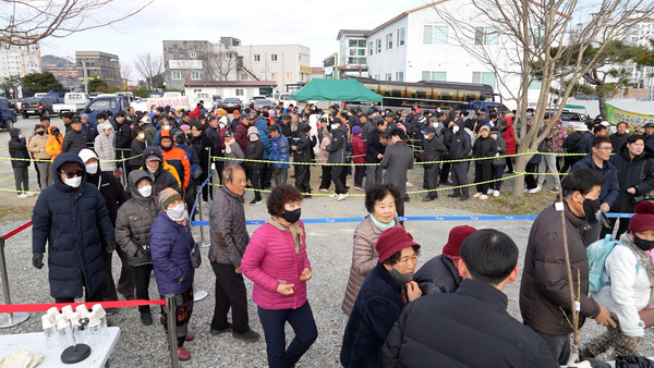 나무 나눠주기 행사 / 사진제공=진도군