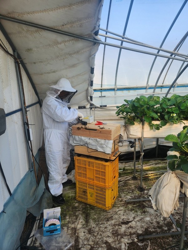 화분매개용 디지털 벌통 /사진제공=예천군