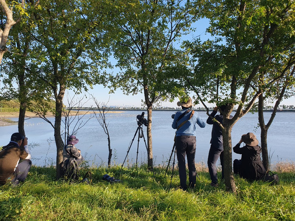 영종갯벌 조류 모니터링하는 단원들 모습 /사진제공=인천녹색연합