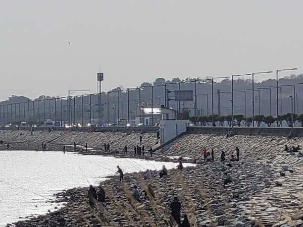 제방에서 낚시하는 사람들로 인해 새들은 안정적인 서식을 방해받고 있다. /사진제공=인천녹색연합