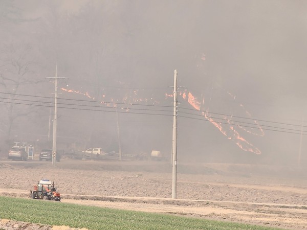 의성군 의성읍 철파리 마을 뒷산 산불현장 /사진=김성재 기자