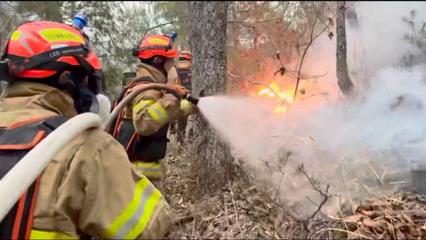 산불 진화대원들의 활동 모습 /사진제공=경북소방본부