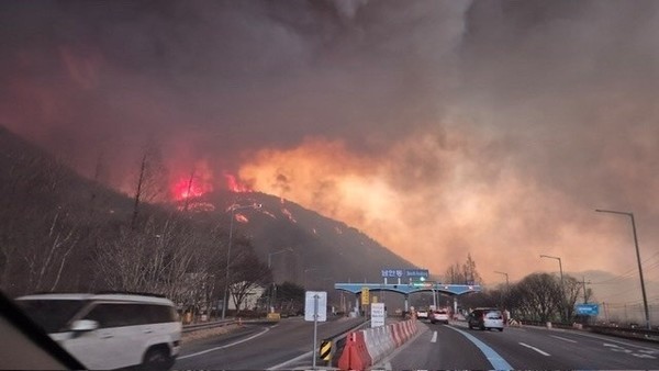 고속도로 인접 산불 현장 /사진제공=독자 제보
