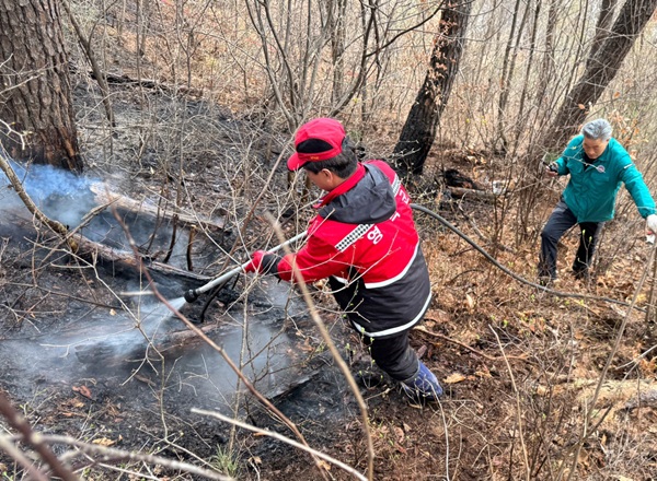 산불 진화 현장 잔불 제거 작업  /사진제공=영덕군