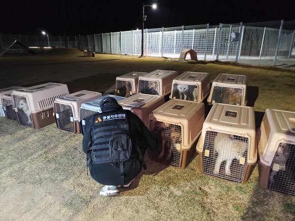 동물자유연대는 재난에 취약한 동물들의 현실을 알리고, 구조와 구호 체계를 신속히 산불 현장에 가동하고 있다. /사진=동물자유연대