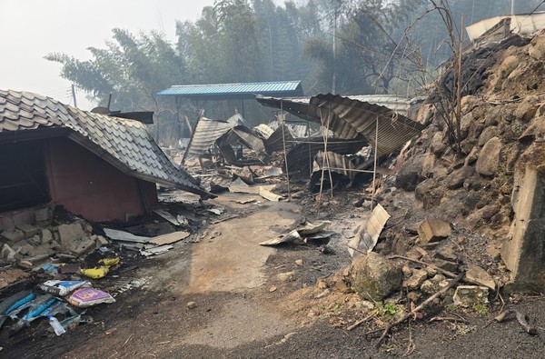 동물자유연대는 재난에 취약한 동물들의 현실을 알리고, 구조와 구호 체계를 신속히 산불 현장에 가동하고 있다. /사진=동물자유연대