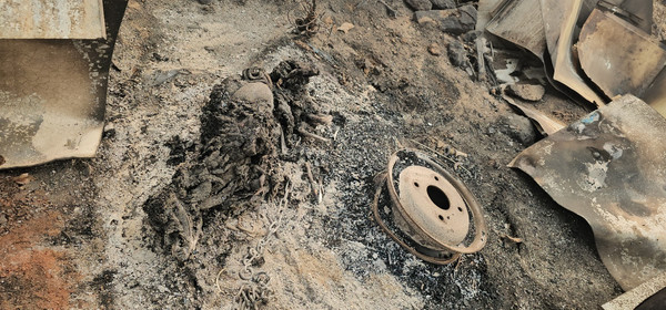 끝내 묶인 채 불길에 타서 숨진 개. /사진제공=루시의 친구들